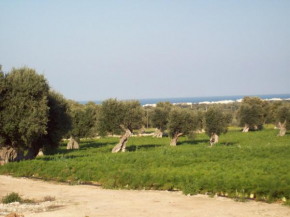 Masseria Ricci Fasano